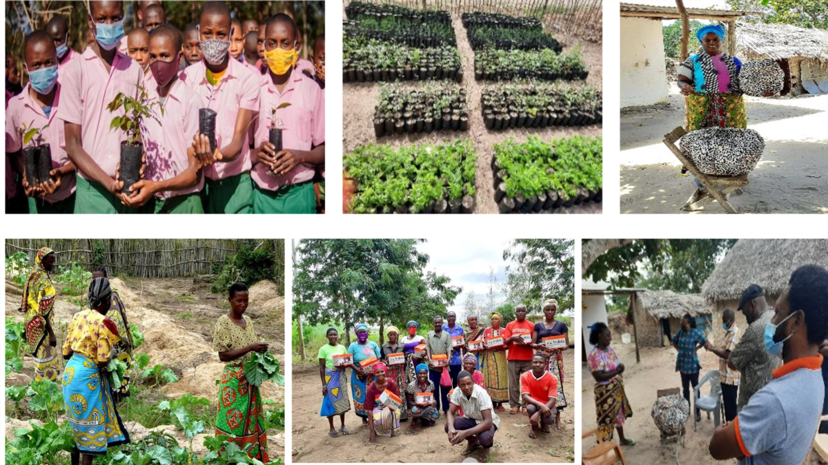 I&M Foundation Environmental Conservation - A Rocha Kenya in Kilifi County Case Study