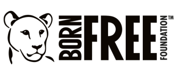 Born Free Foundation Logo