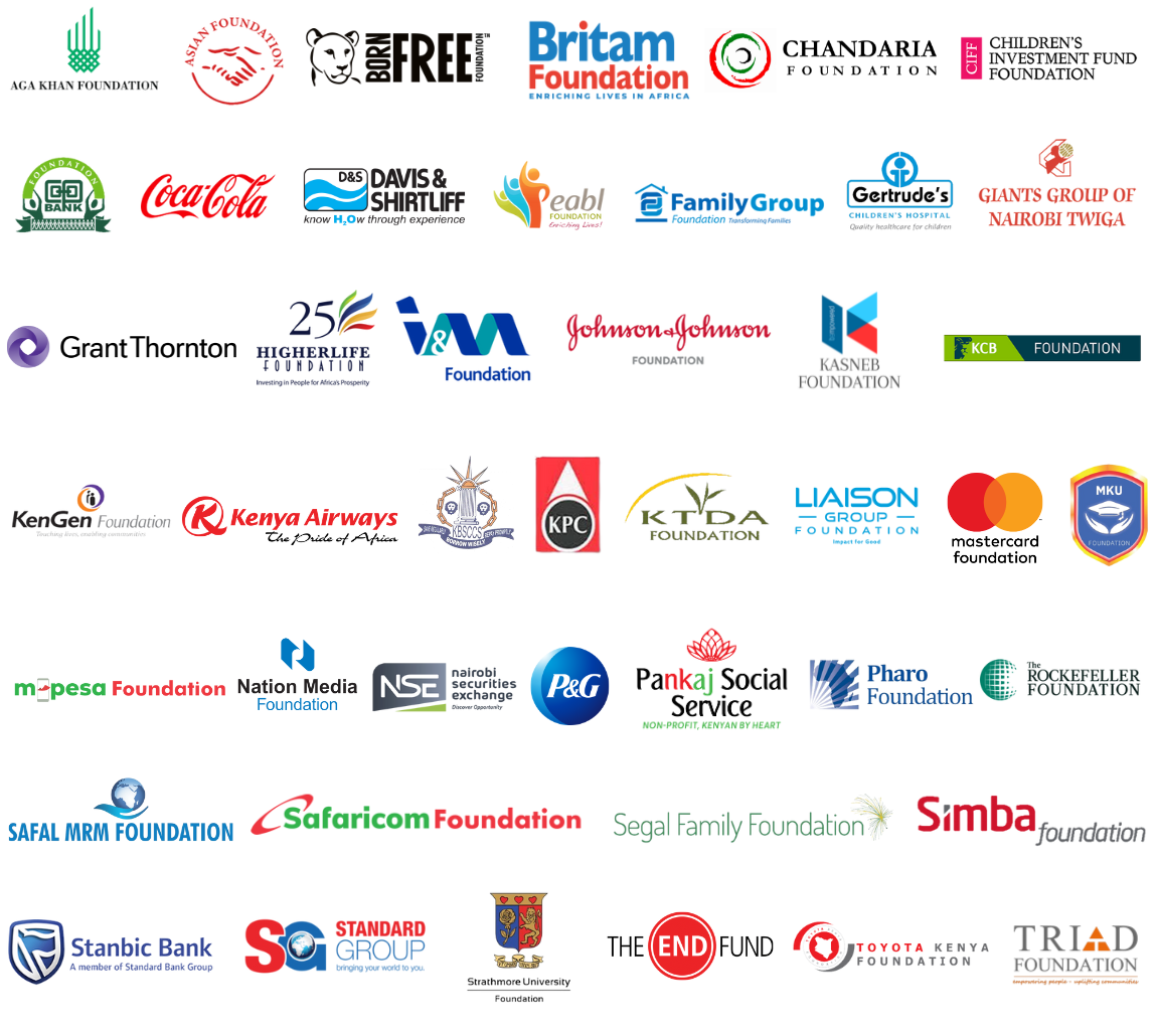 Impact Philanthropy Africa Members