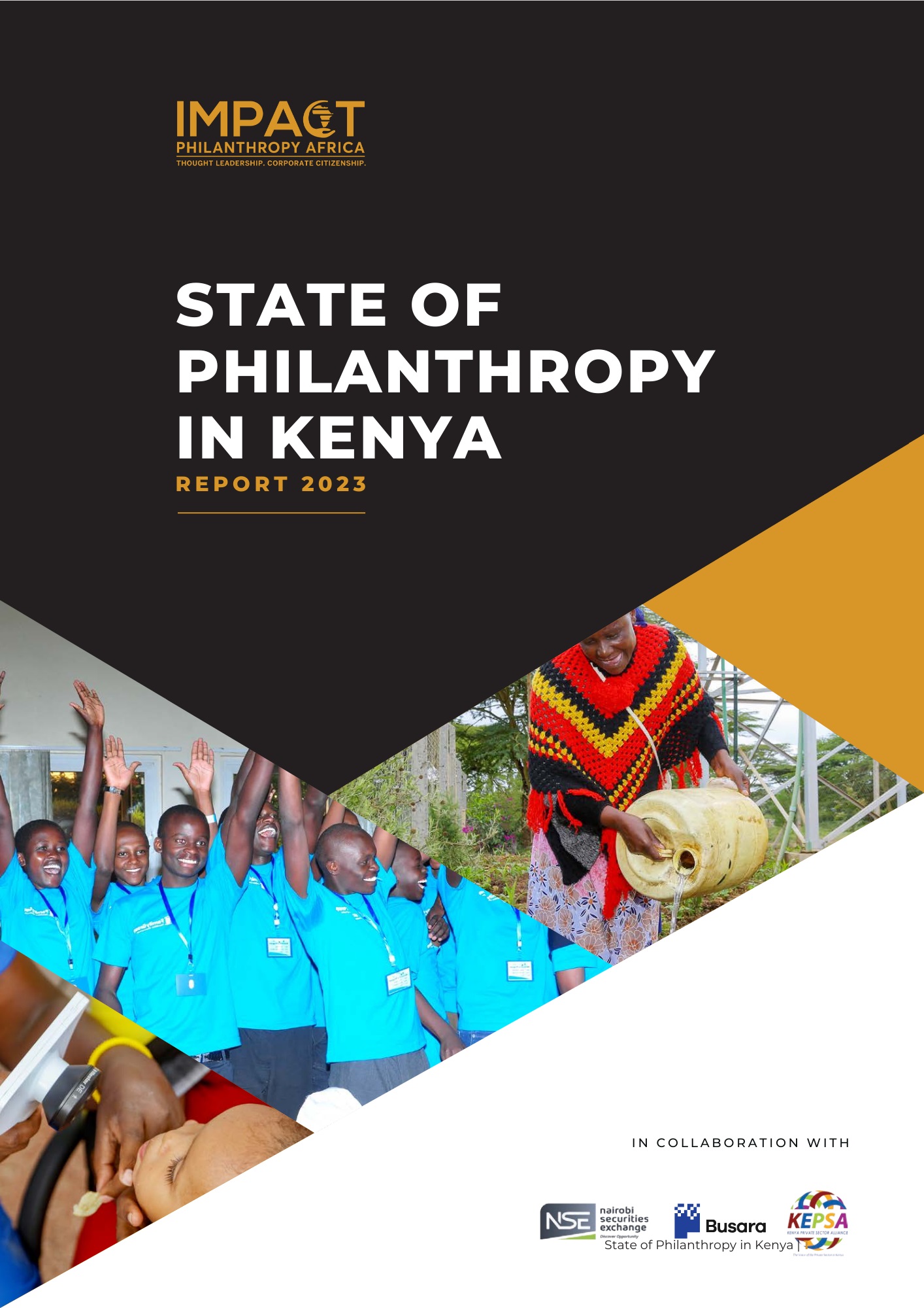 IPA State of Philanthropy Report 2024